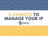 3 CHOICES TO MANAGE YOUR IP